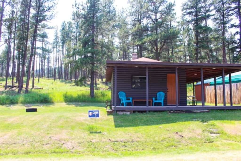 Cabin 5 at Bearded Buffalo Resort - a small, trendy and bright accommodation surrounded by Instagrammable scenery
