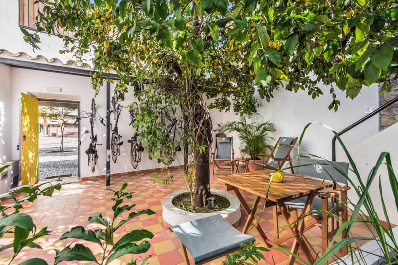 Lemon Tree Stay - a sleek Mediterranean property
