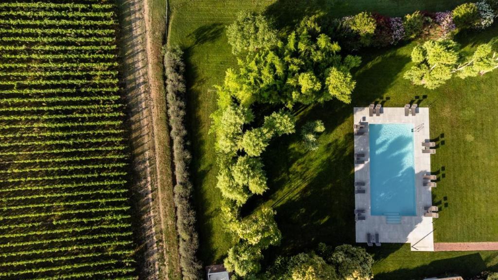 Agriturismo Moscatello - a charming, beautiful and Insta-worthy accommodation nestled in nearly 80-acres of vineyards and cornfields