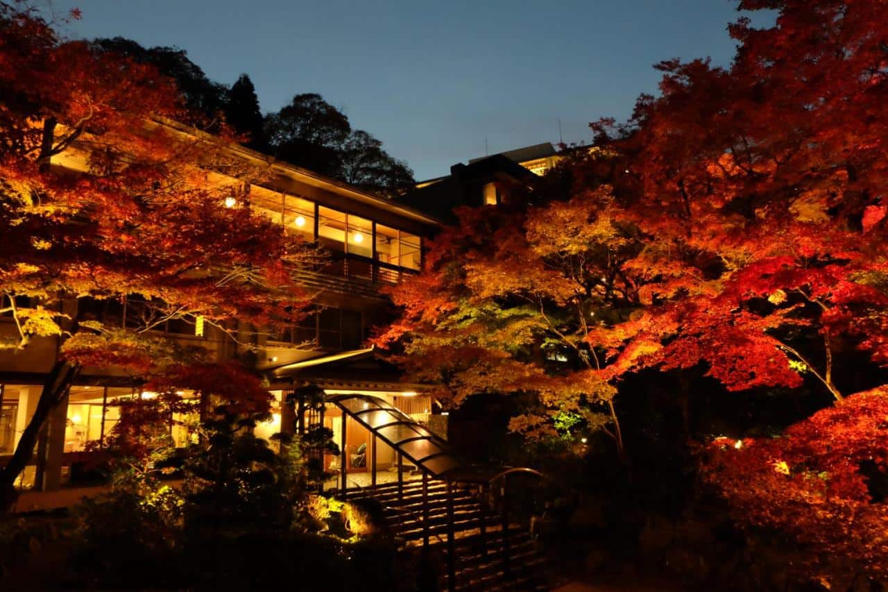 Negiya Ryofukaku - a cozy and charming inn