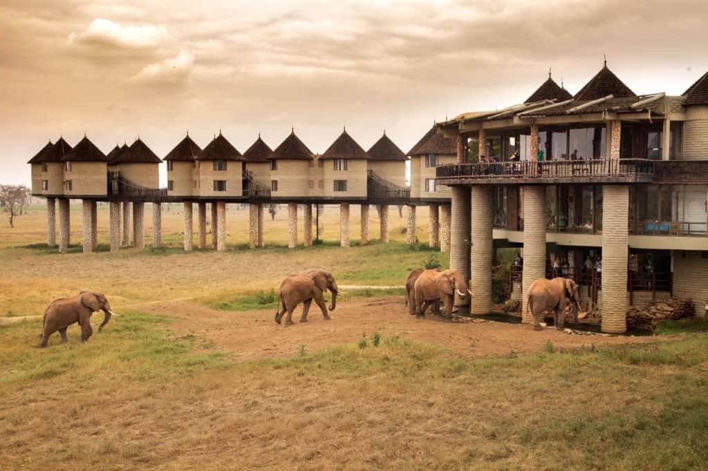 Salt Lick Safari Lodge - a charming, elegant and rustic accommodation well known for being one of the most photographed lodges in the world
