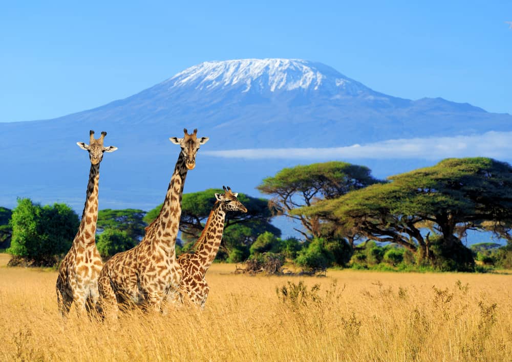 Most Beautiful Places to Visit in Kenya