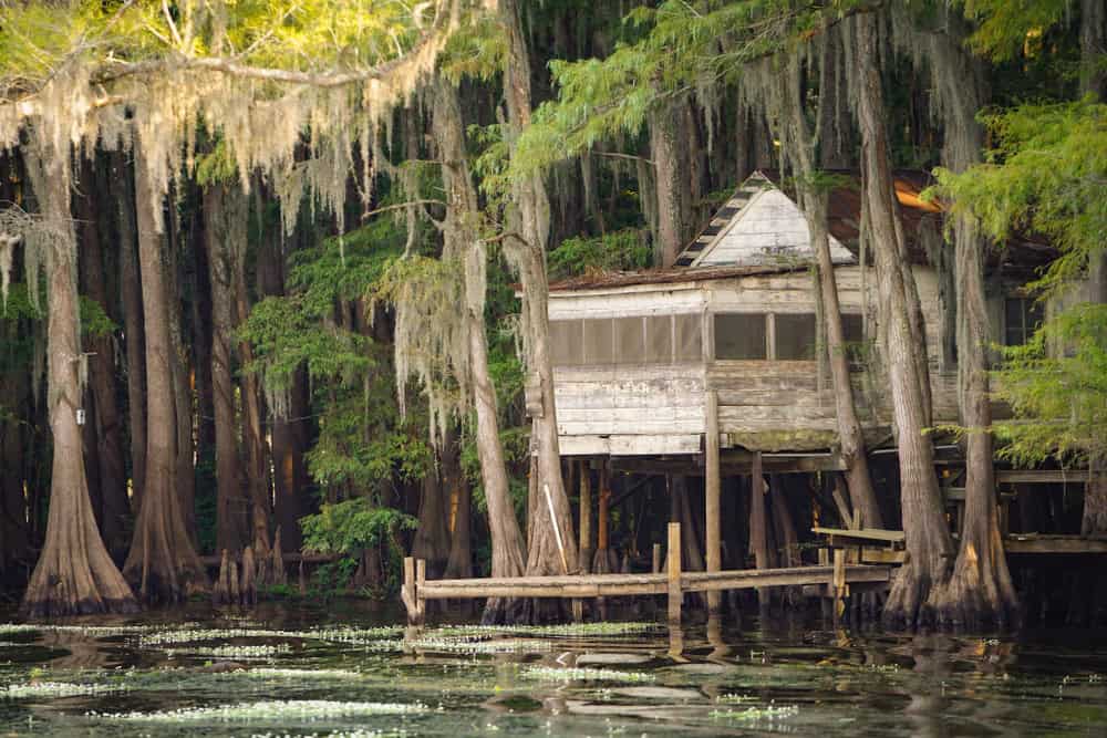 Bayou Country, Louisiana Swamp House